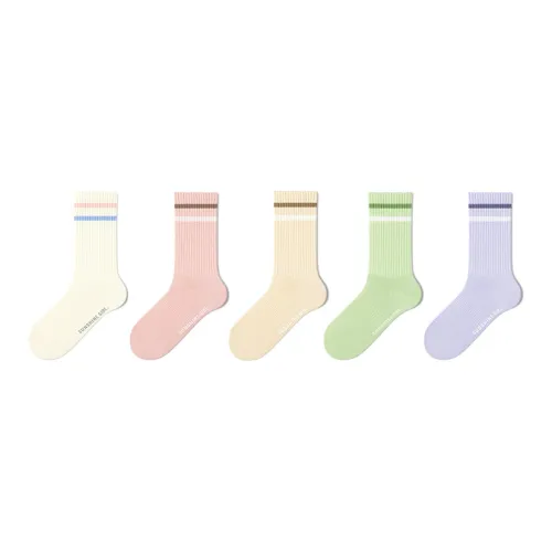 B&C.Room Mid Calf Socks Women's 5 Pack