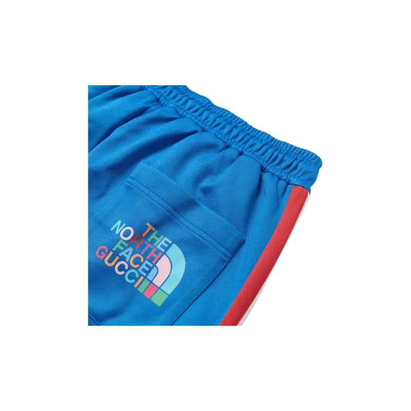GUCCI x THE NORTH FACE FW22 Casual Pants Men's Blue-8