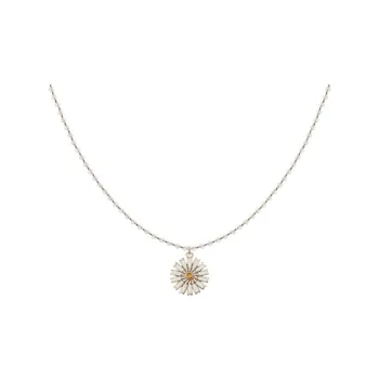 RiotLILY Imitation Enamel Necklaces Unisex