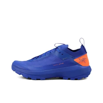 Arcteryx Vertex Alpine Anti Slip Wear Resistant Low Top Trekking Shoes Men's Blue