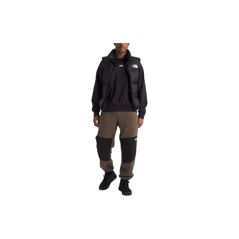 THE NORTH FACE Men’s Retro Denali Pants-4