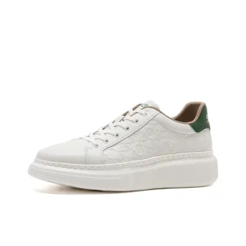 Satchi Low Top Skateboard Shoes Men's White Green