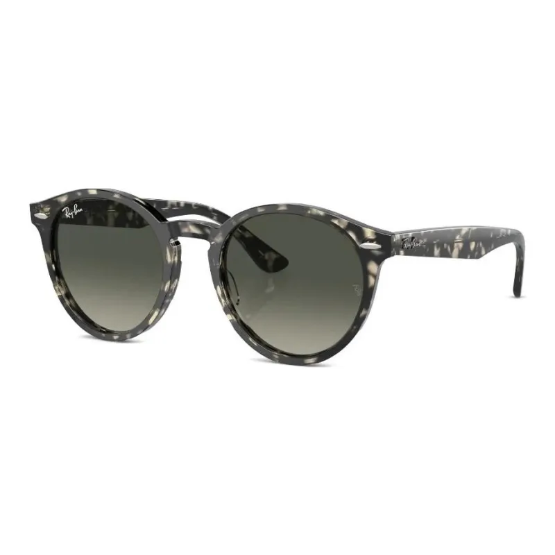 RayBan Round Frame Sunglasses-0