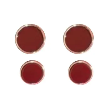 Rhymes Gold Plated Copper Stud Earrings Women's