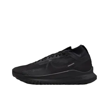 Nike Pegasus Trail 4 Gtx V2 'Black Dark Grey'