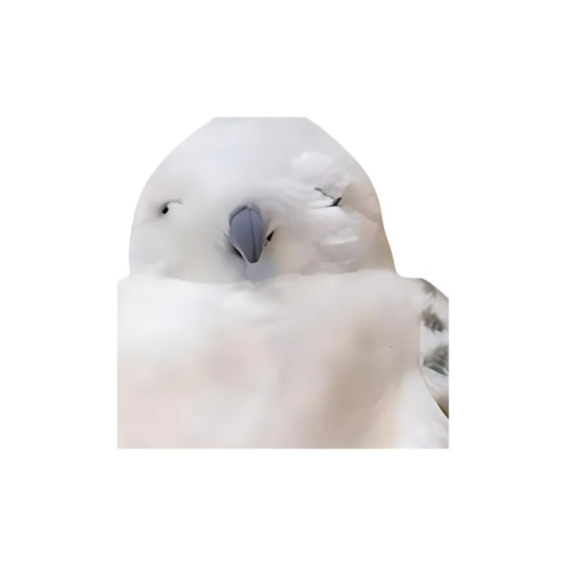Universal Studios Harry Potter Hedwig The Messenger Snow Owl Dolls Plush Doll 40cm High-3