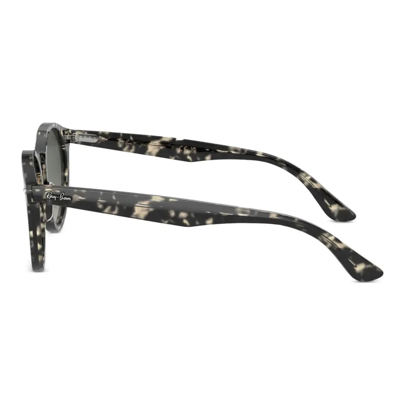 RayBan Round Frame Sunglasses-2