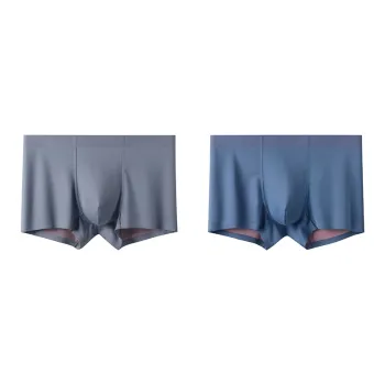Allenalyson Underpants Men's 2 Pack