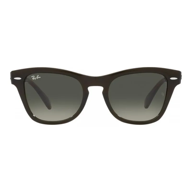 RayBan Plastic Square Sunglasses Unisex Olive Green-1
