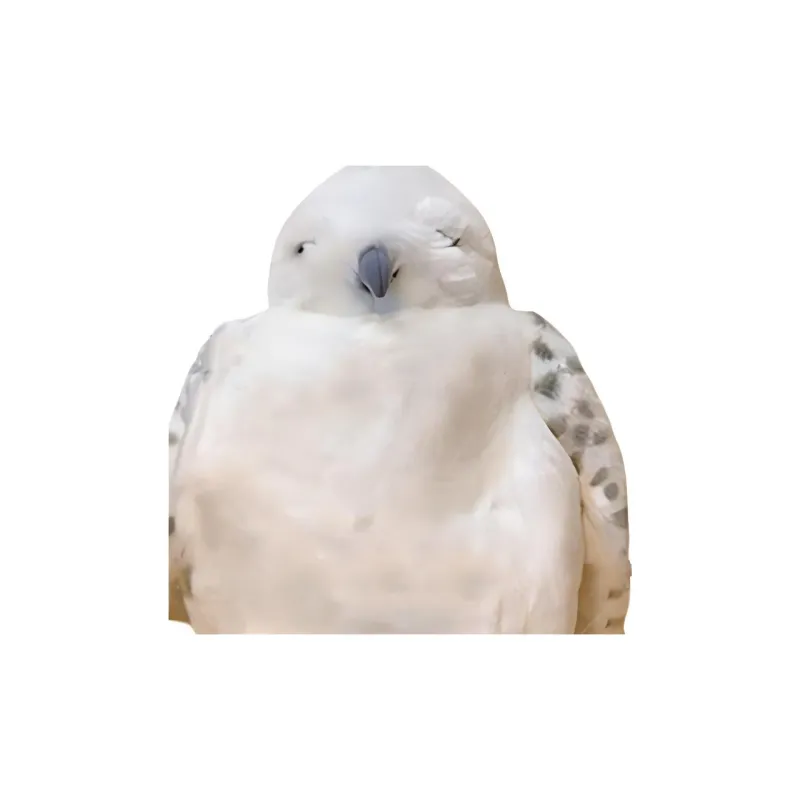 Universal Studios Harry Potter Hedwig The Messenger Snow Owl Dolls Plush Doll 40cm High-2