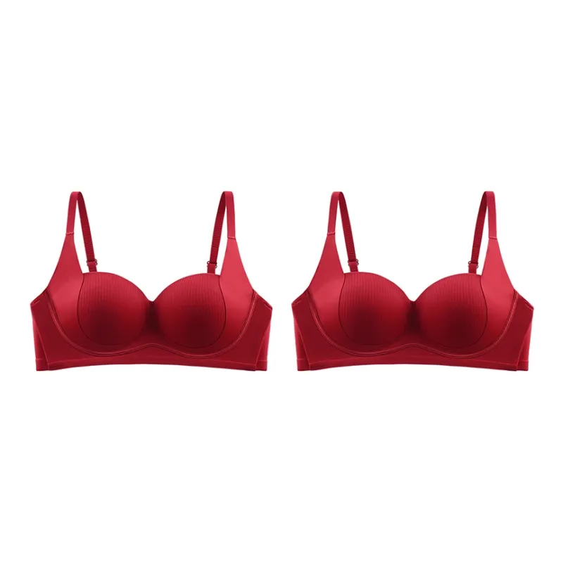 Lanza Women's Bras-4