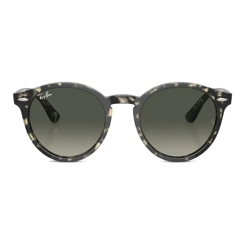 RayBan Round Frame Sunglasses-1