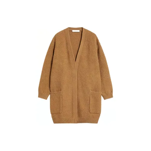 MaxMara Knitwear Women's Tobacco