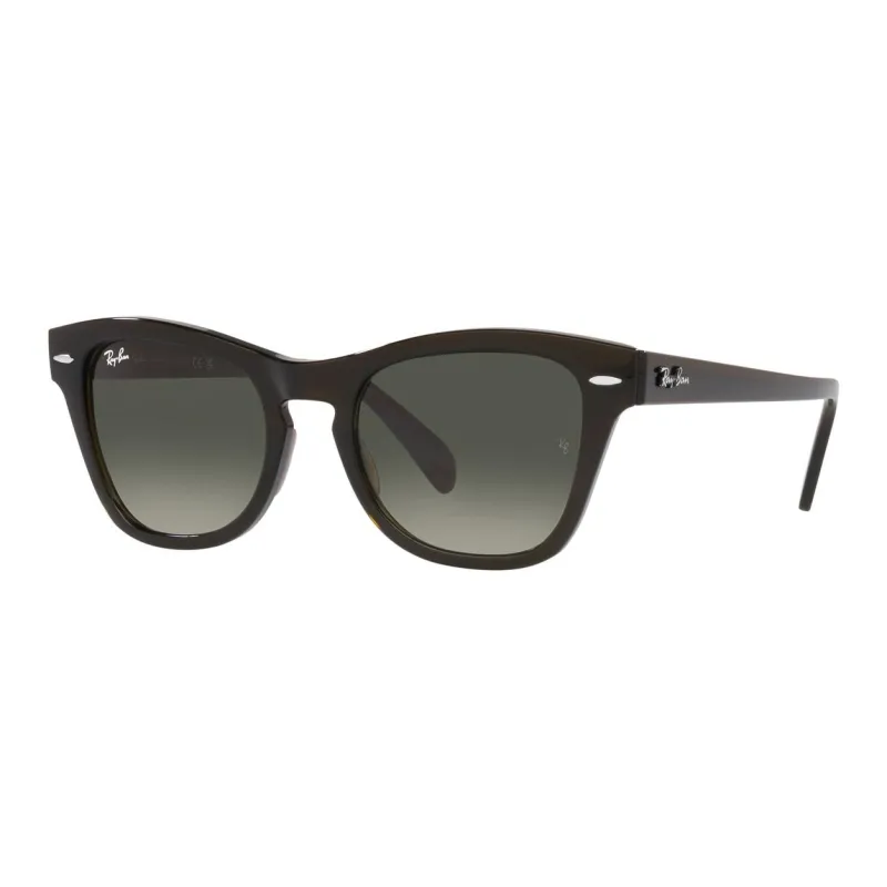RayBan Plastic Square Sunglasses Unisex Olive Green-0