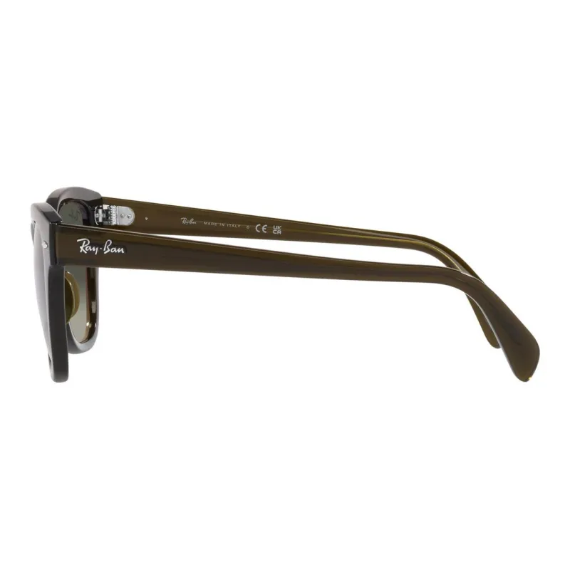 RayBan Plastic Square Sunglasses Unisex Olive Green-2