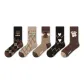 Brown Bear-5 Pack