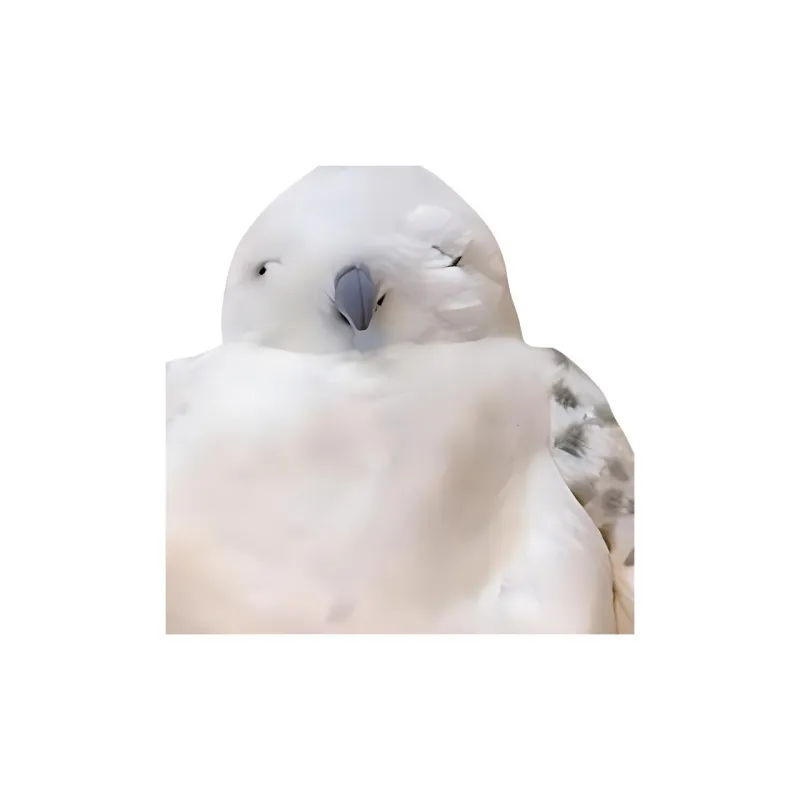 Universal Studios Harry Potter Hedwig The Messenger Snow Owl Dolls Plush Doll 40cm High-1