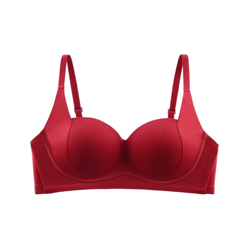 Lanza Women's Bras-0