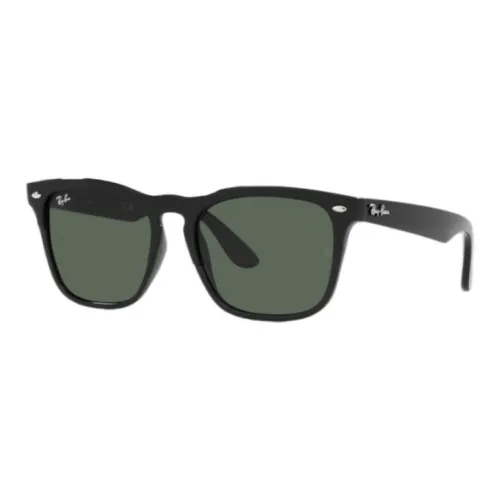 RayBan Steve Square Frame Sunglasses