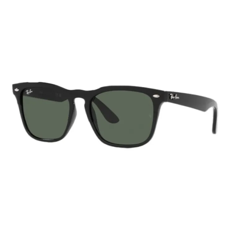 RayBan Steve Square Frame Sunglasses-0