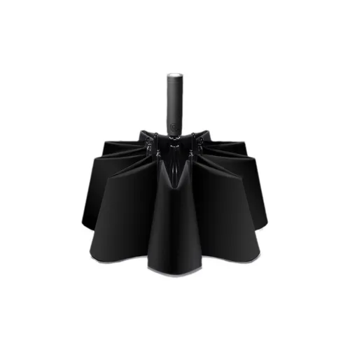 Baudini Umbrellas