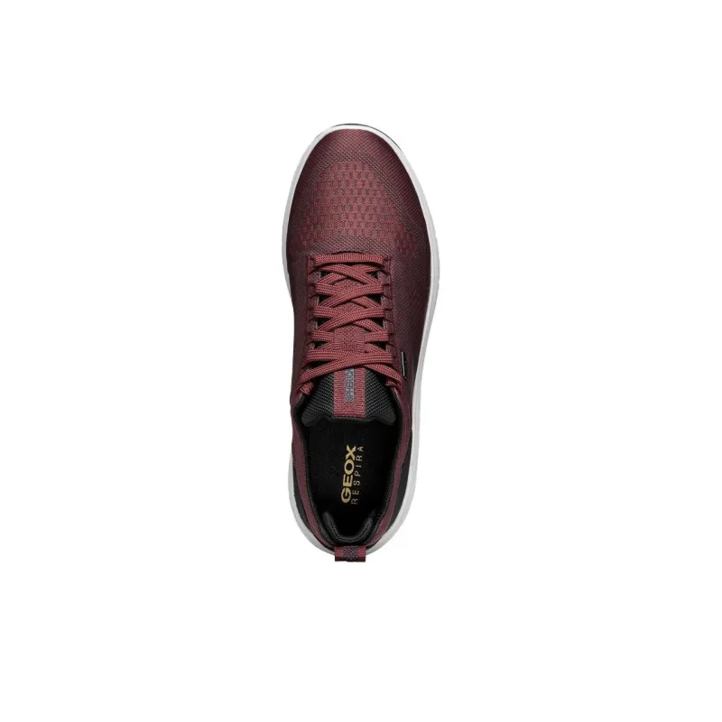 GEOX Spherica 4x4 Ab Anti-Slip Wear-Resistant Low-Top Casual Shoes Men's Red Blue-5