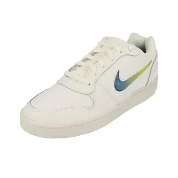 Nike EBERNON Anti-Slip Wear-Resistant Low-Top Skateboard Shoes Men's White