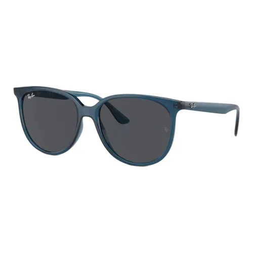 RayBan Polycarbonate Cat Eye Sunglasses Women's Blue