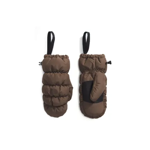 THE NORTH FACE Recycled Polyester Recycled Nylon Recycled Polyester Lashers Wool Blend Gloves Unisex Brown