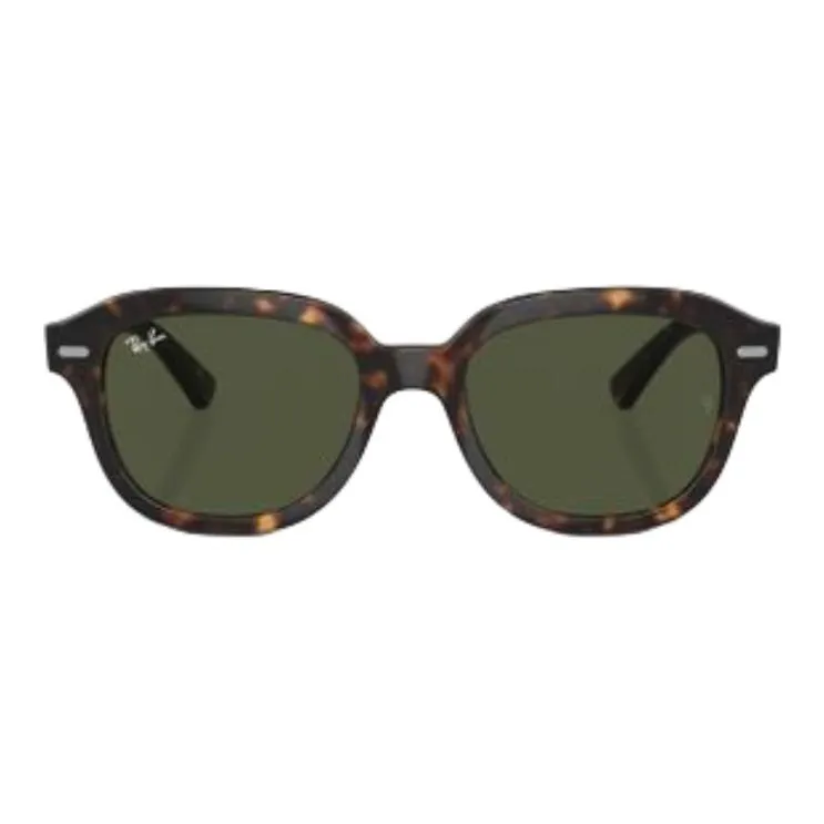 RayBan Erik Round frame Sunglasses-1