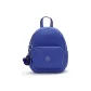 Royal Blue WB