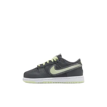 Nike Dunk Anti Slip Wear Resistant Low Top Kids' Skateboarding Shoes Gray Children Aged 3 7 Years Old