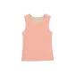 Blush Pink Color