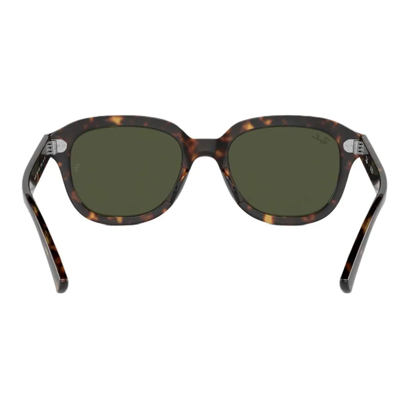 RayBan Erik Round frame Sunglasses-2
