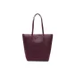 Dark Plum Color