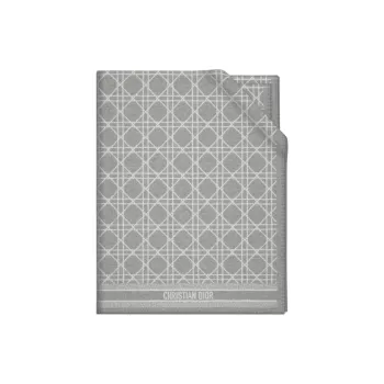 DIOR Cashmere Shawls Unisex Gray
