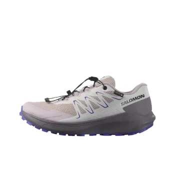 SALOMON TEMPER GORE TEX Anti Slip Wear Resistant Low Top Trail Running Running Shoes Women's Gray