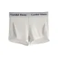 White[1 Pack]
