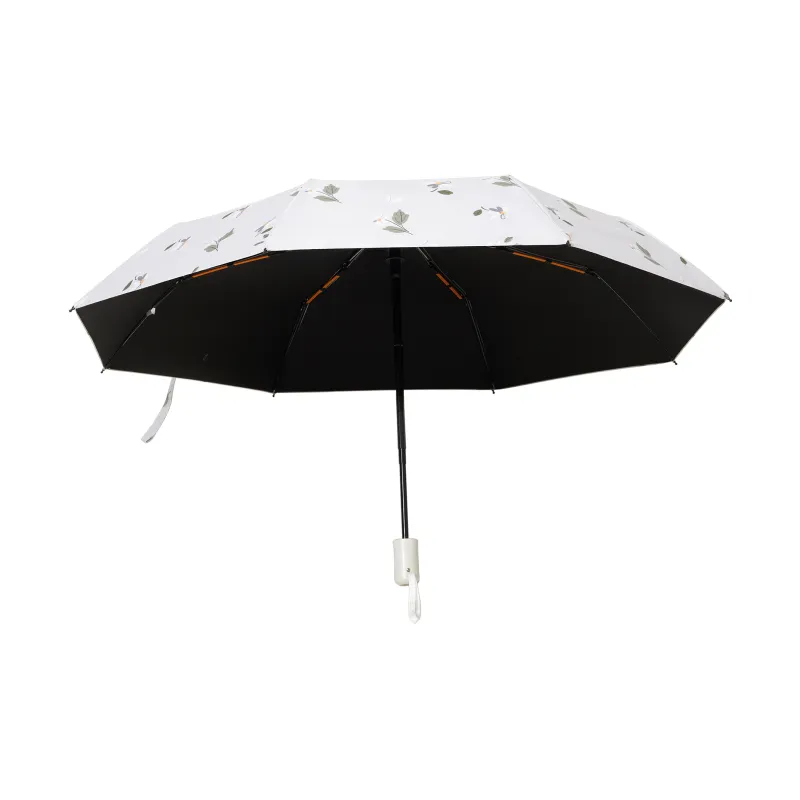 Sleep Umbrellas-29