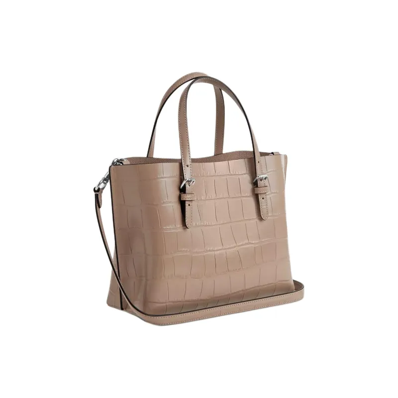 COACH Mollie Handbags-1