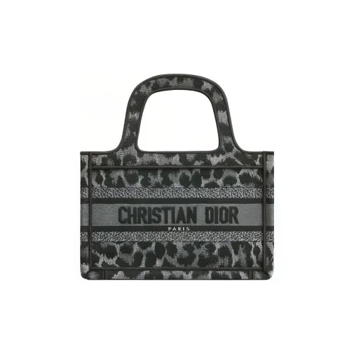 DIOR BookTote Handbags