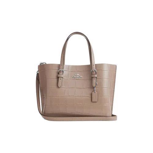 COACH Mollie Handbags