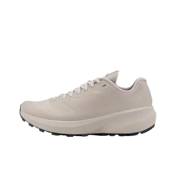 Arcteryx Norvan LD 3 Anti Slip Wear Resistant Low Top Running Shoes Women's Gray