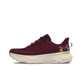 Dark Red/Dark Chestnut/Summit White