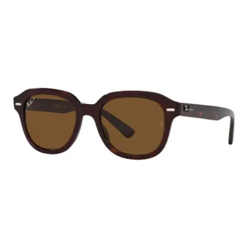 RayBan Erik Square Frame Sunglasses
