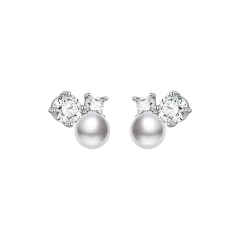 ZEGL 925 Silver Needles Earrings Women's