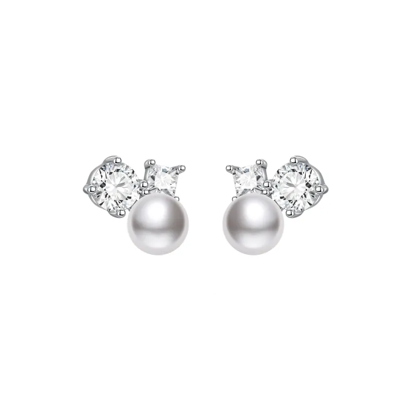 ZEGL 925 Silver Needles Earrings Women's-0