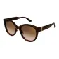Tortoiseshell