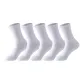 [5 Pack]5 White