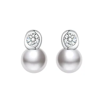 ZEGL 925 Silver Needles Earrings Women's